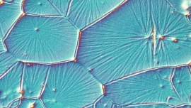 The Next Generation of Solar Panels